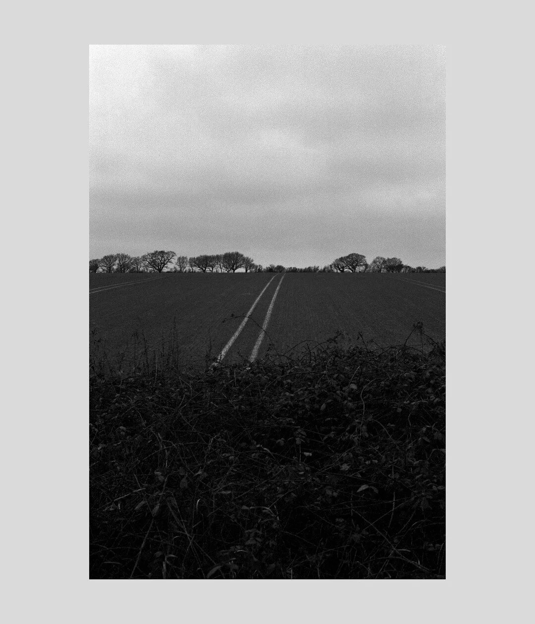 Great Holland, Essex (2021)

Shot on ILFORD XP2 135 Film.

www.jamesvesseymiller.com/photography/
&copy;James Vessey-Miller  

#ShotOnFilm #Film #FilmIsNotDead
#FilmPhotography #FilmClubEurope
#GreatHolland #FrintonOnSea #Essex 
#IlfordXP2 #Ilford #X
