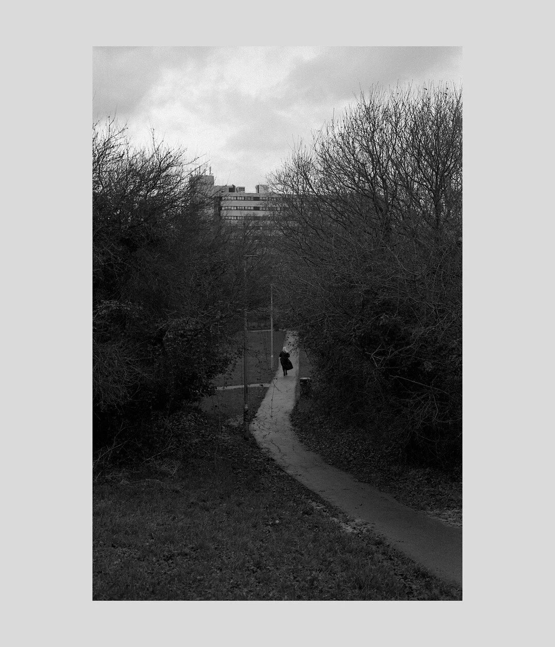 Middle Hall Park, Basildon, Essex (2022)

Shot on ILFORD XP2 135 Film.

www.jamesvesseymiller.com/photography/
&copy;James Vessey-Miller  

#ShotOnFilm #Film #FilmIsNotDead
#FilmPhotography #FilmClubEurope
#Basildon #Essex #MiddleHall
#IlfordXP2 #Ilf