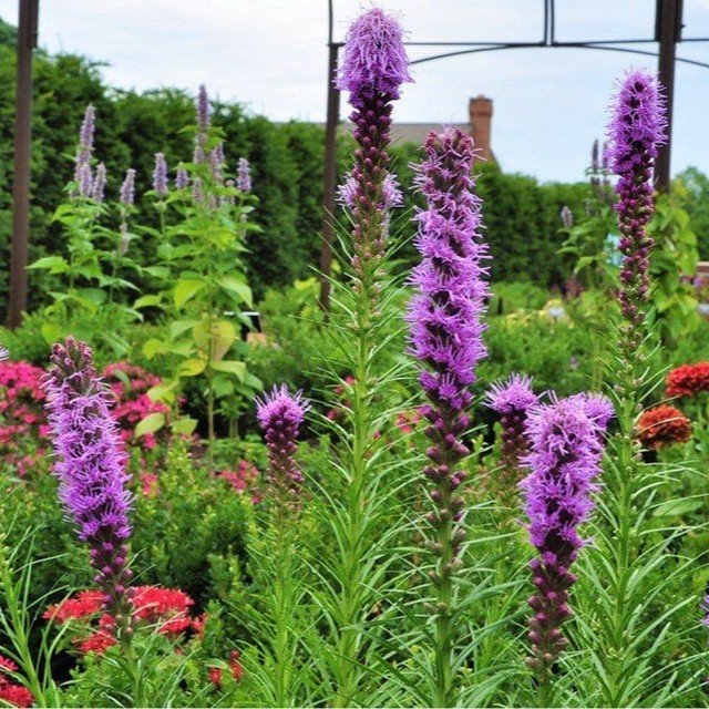 🎨 Exploring the West Chicago Stop on the pottery tour? Dive into the tranquility of Cantigny Park, just 10 minutes away. Discover:

- Expansive formal and informal gardens.
- The historic estate of Joseph Medill and Colonel Robert R. McCormick.
- Re