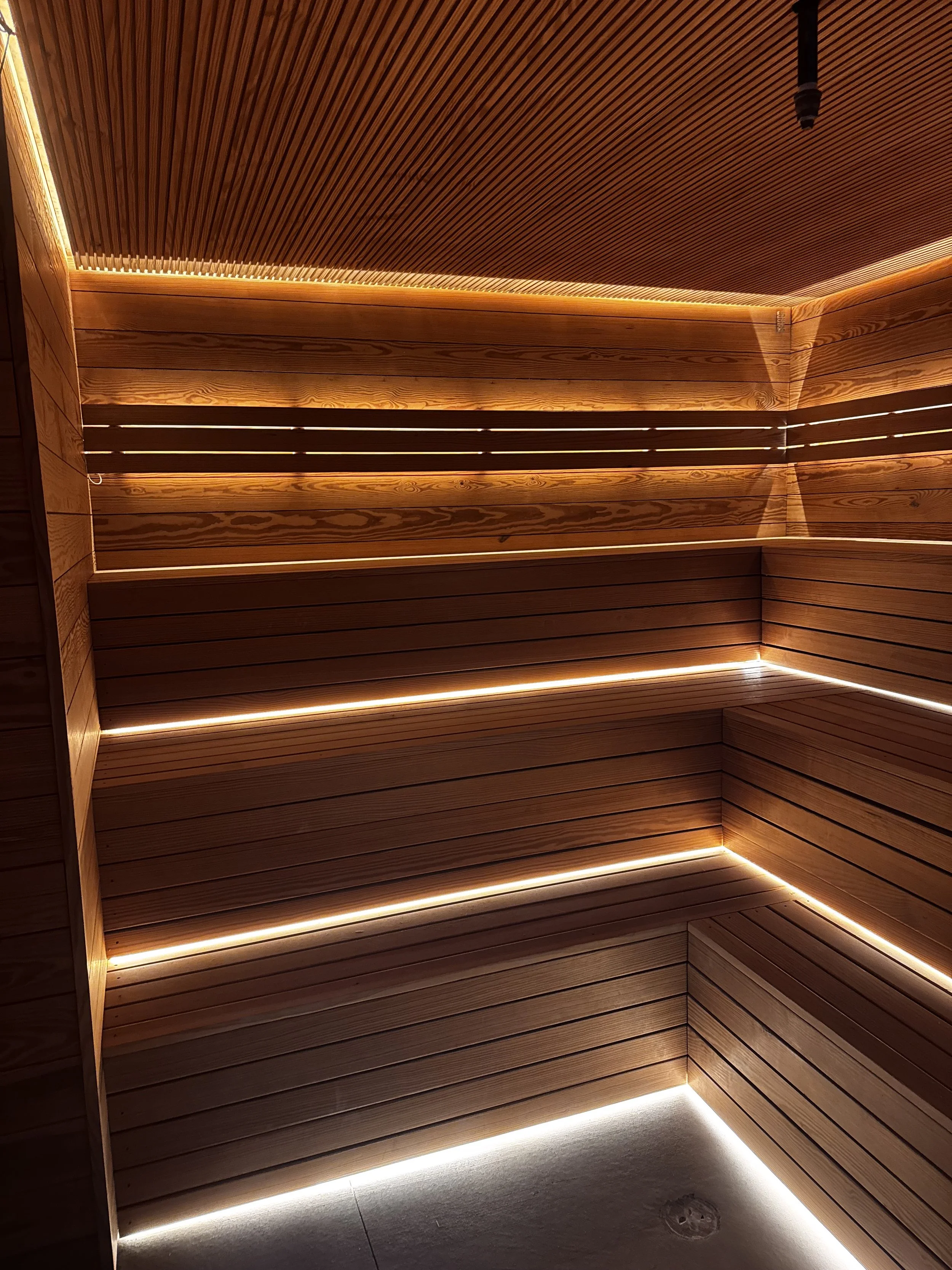 Dimmable low voltage lighting, custom authentic sauna