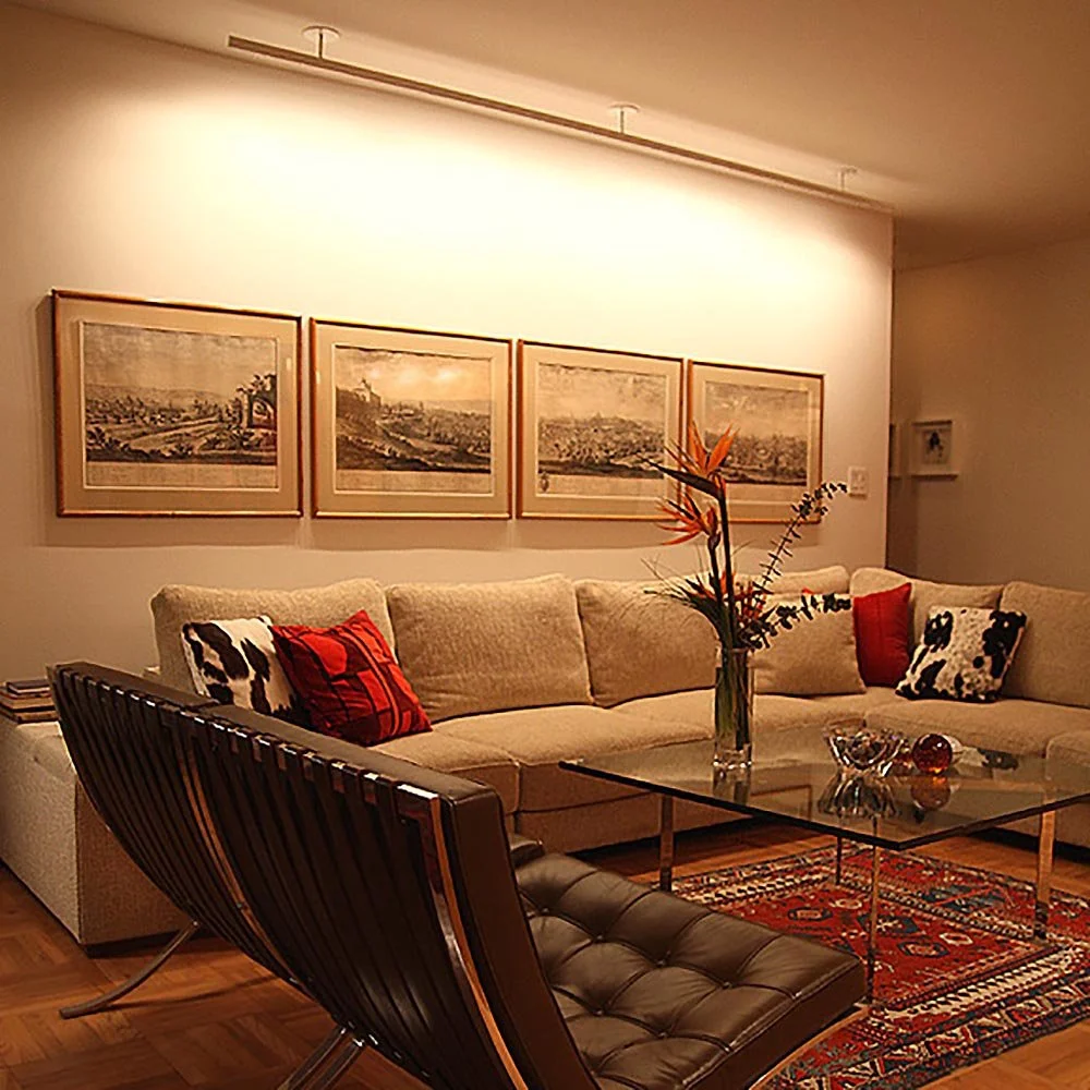 modulightor-modernist-gallery-lighting-custom-artlight.jpg