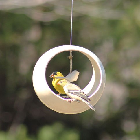 goldfinch pair on vanilla feeder.jpeg