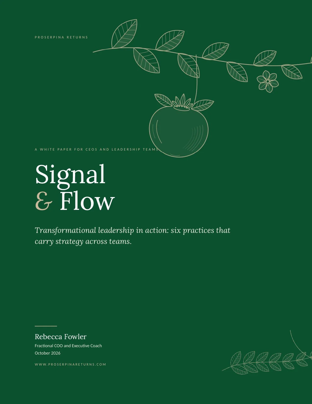 Cover of the Signal & Flow white paper