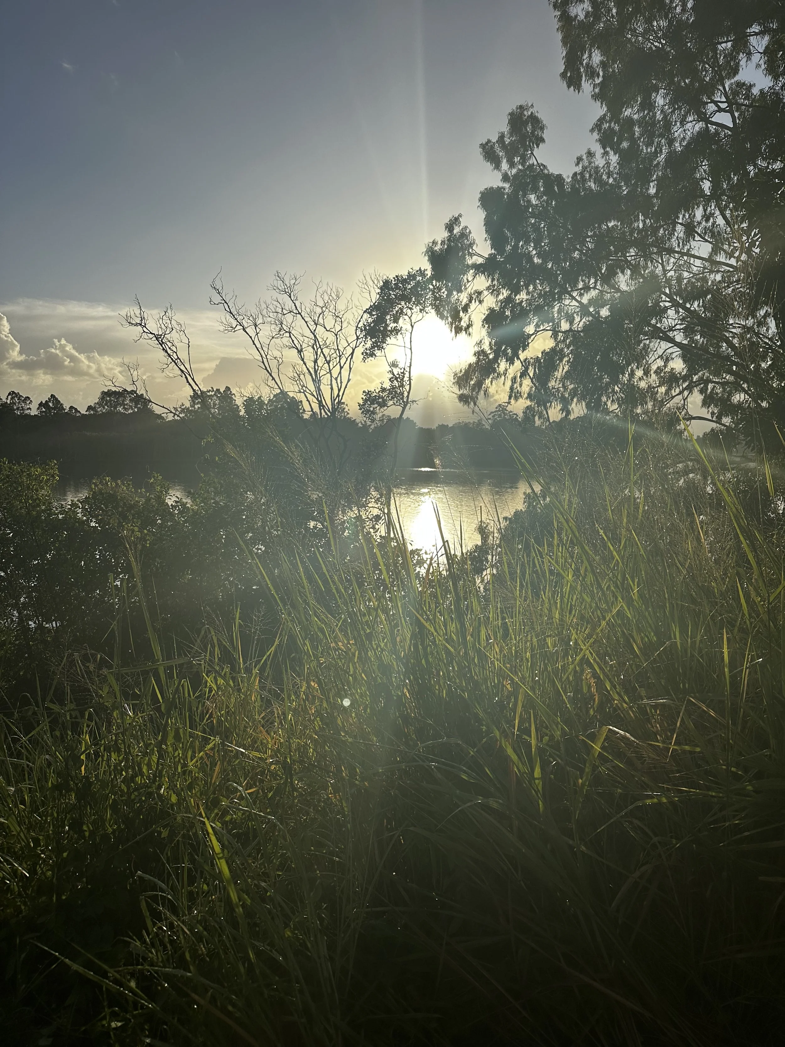 The Practice of Beginning Again
