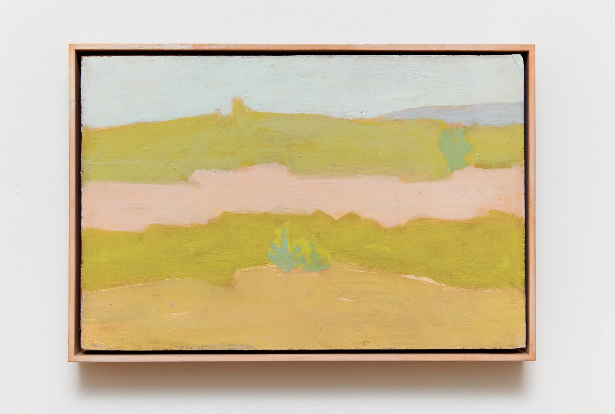 Real as Paint on Canvas:  James Schuyler and a Few of his Painter Friends