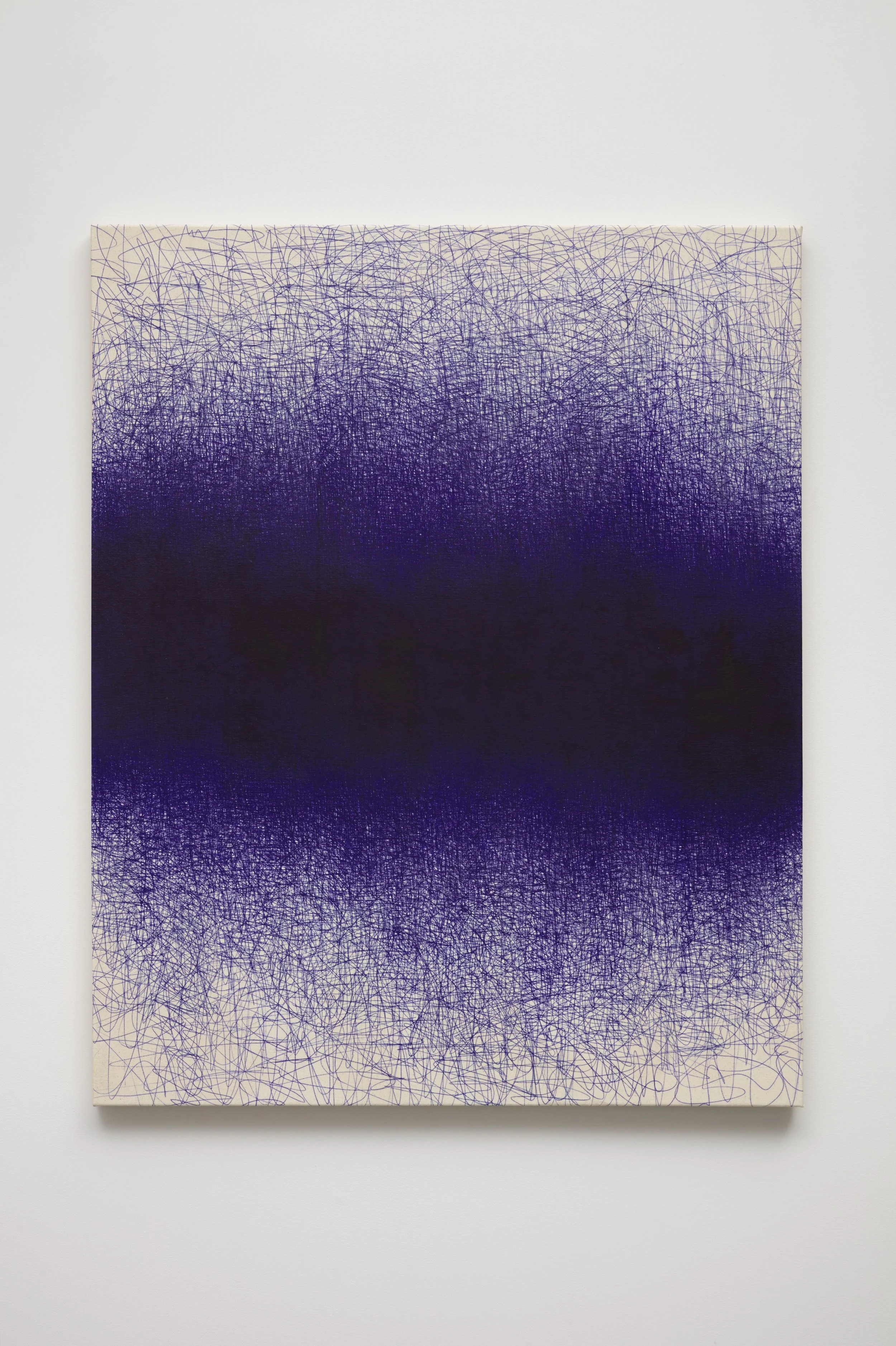  Il Lee  
 BL-2403 , 2024 
ballpoint pen on canvas, 47 x 38 inches 
Courtesy the artist and Art Projects International, New York 