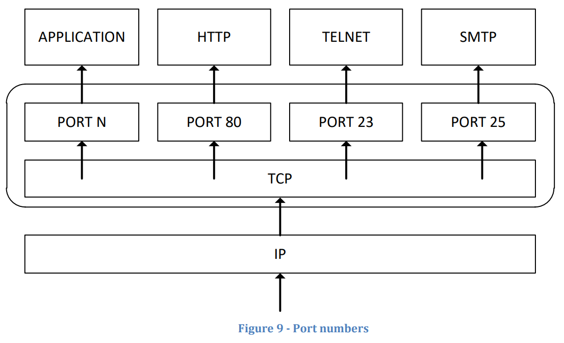 Introduction to the Network Scanning Phase — ComplexSec