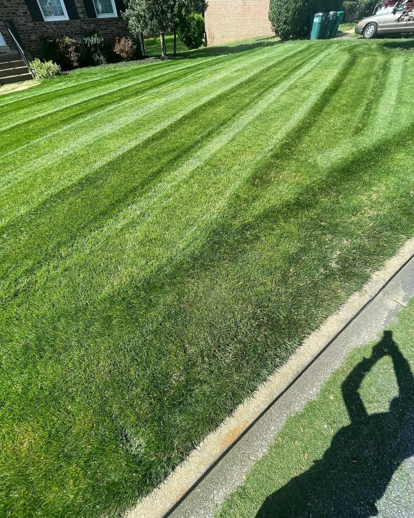 I dont know man i just love stripes🤷🏽&zwj;♂️
 #rva #rvalawncare #rvalandscape  #rvalandscaping #henrico #henricocounty #henricolawncare #henricocountylandscape #henricolandscape #henricocountylawncare #henricolandscaping #henricocountylandscaping #