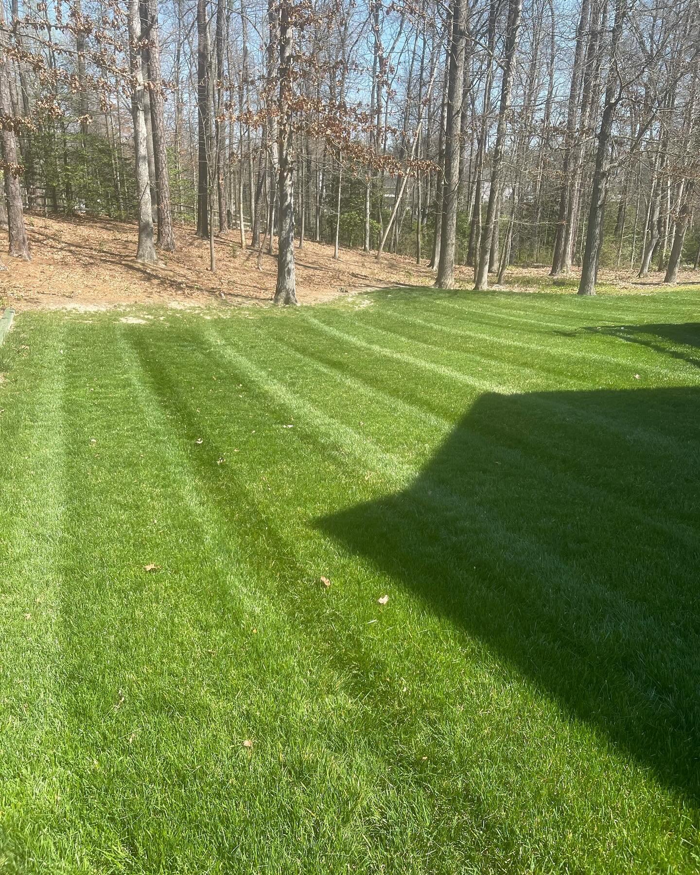 Fresh blades✅
Clean deck✅
Nice stripes✅

Hello season of 2k24👋🏽👨🏽&zwj;🌾🌳