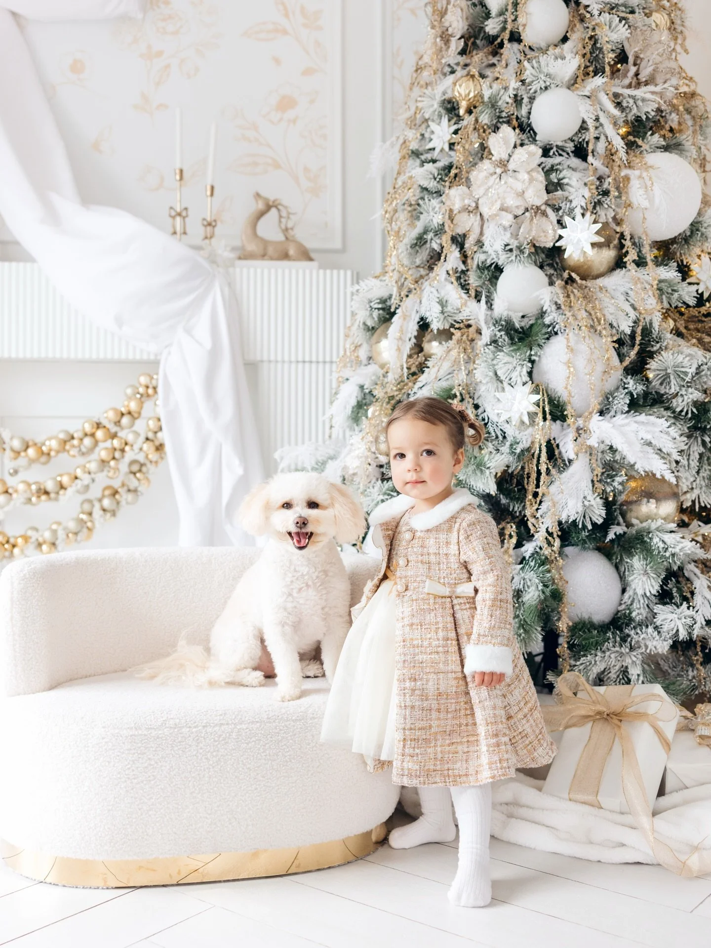 The most regal and adorable portrait we got of Queen Zara and Poppy during the Zagos&rsquo; family Christmas session!! 👑✨👸🏼

#mintroomholiday #mintroomstudios #mintroomstudio #pretoloft #puppylove #torontofamilyphotography #torontocreatives #toron