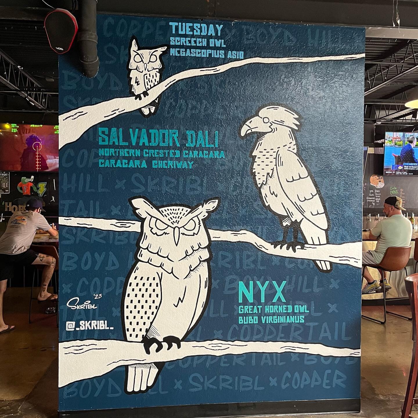 Full mural reveal!

Come hangout at @hops_2.0_ 
Its the place for you to grab beer from @coppertailbrewing and meet some of the birds you can find in birds of prey sanctuary at @friendsofboydhill 

Thank you to hops 2.0 for giving this mural a home, 