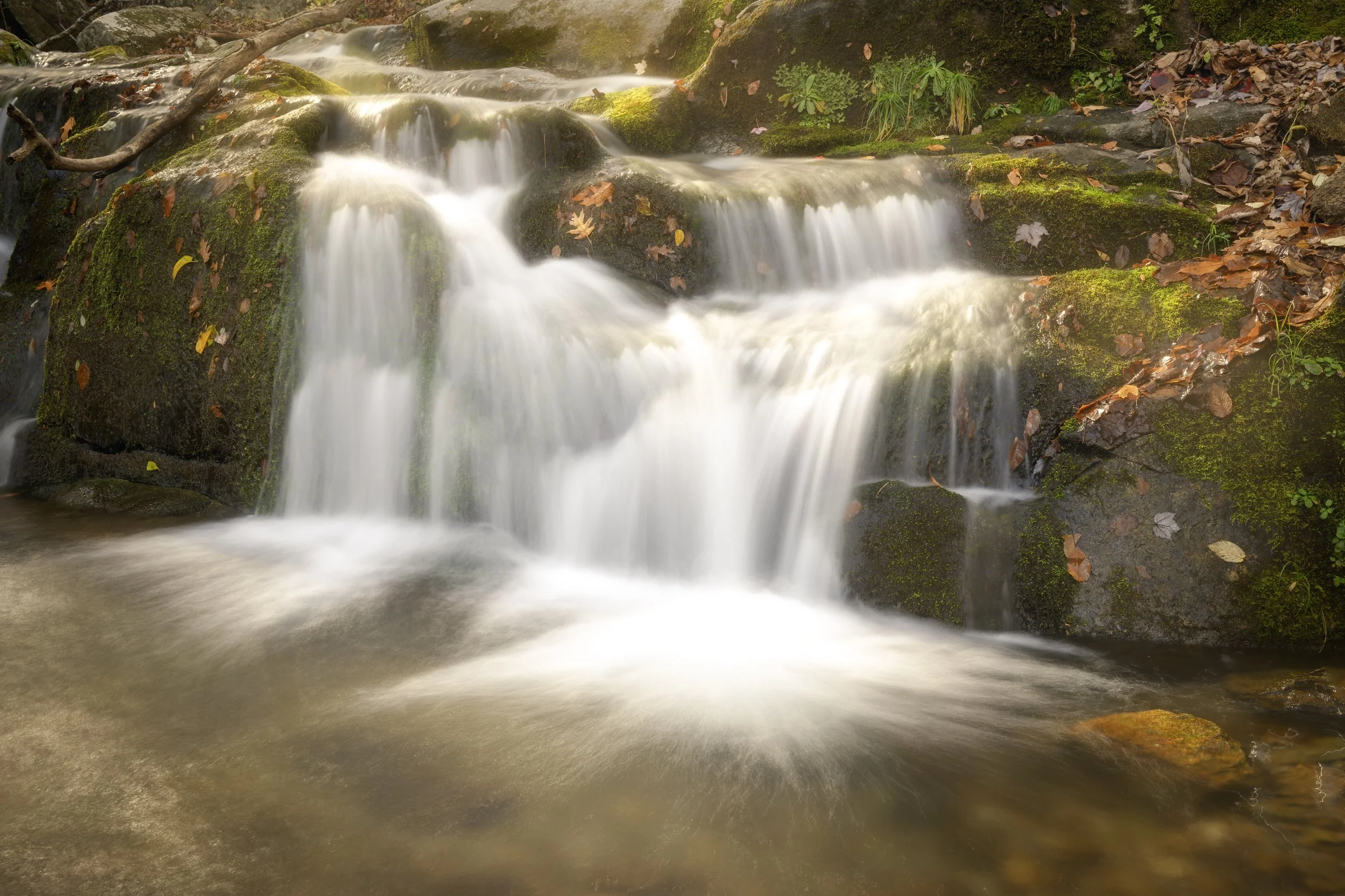 Dark Hallow Falls Square Space-1-2.jpg