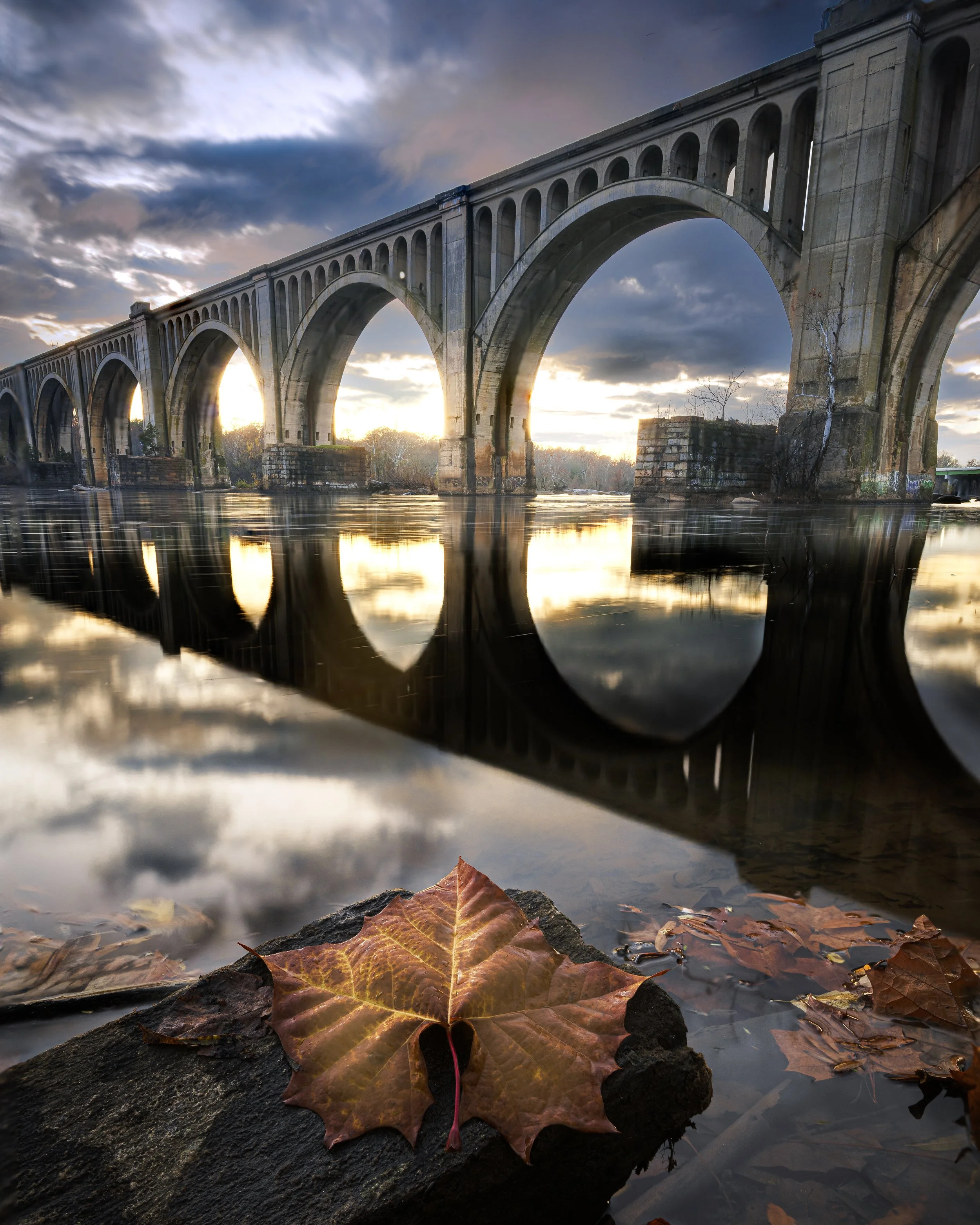 Sycamore Sunset-1.jpg