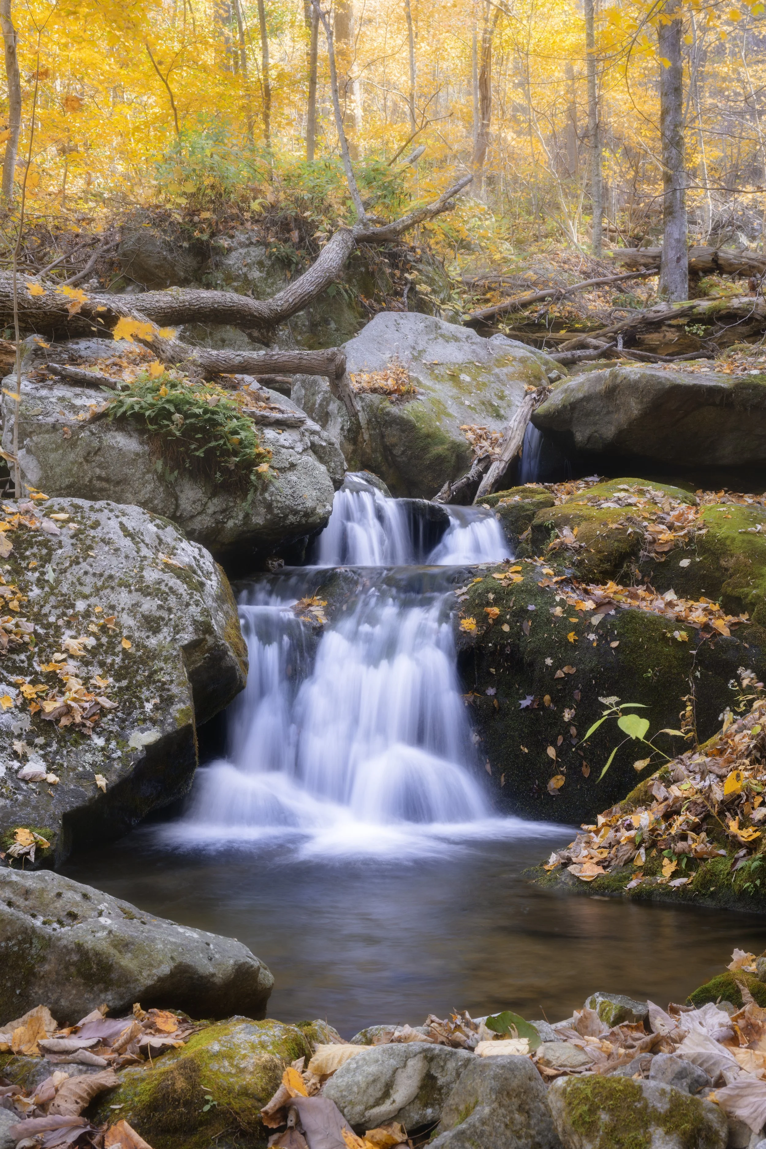 Crabtree Falls are Fallin-1-2.jpg