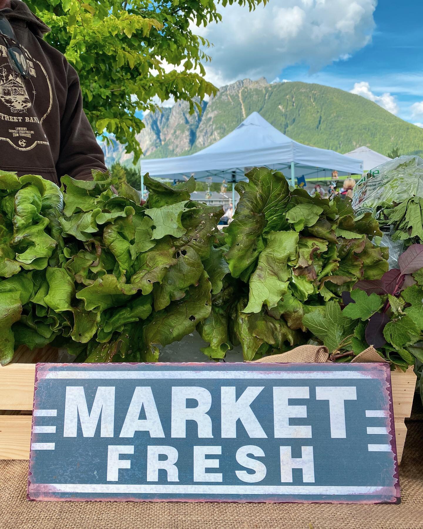 I&rsquo;ll be at the #northbendfarmersmarket @siviewmetroparks today from 4-8p 👨🏻&zwj;🌾 come on by and get some fresh produce! 🥬🧅🍒

-Baby Greens Mix
-Magenta Lettuce, Muir Lettuce, Cherokee Lettuce, Xalbadora (Romaine)
-Beets
-Spinach
-Swiss Ch
