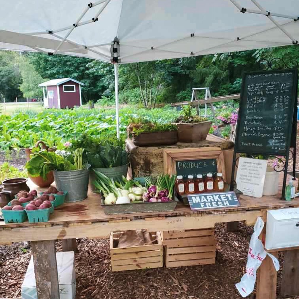 Farm stand is bursting with fresh produce! Come and get it! 🥬🧅🍒