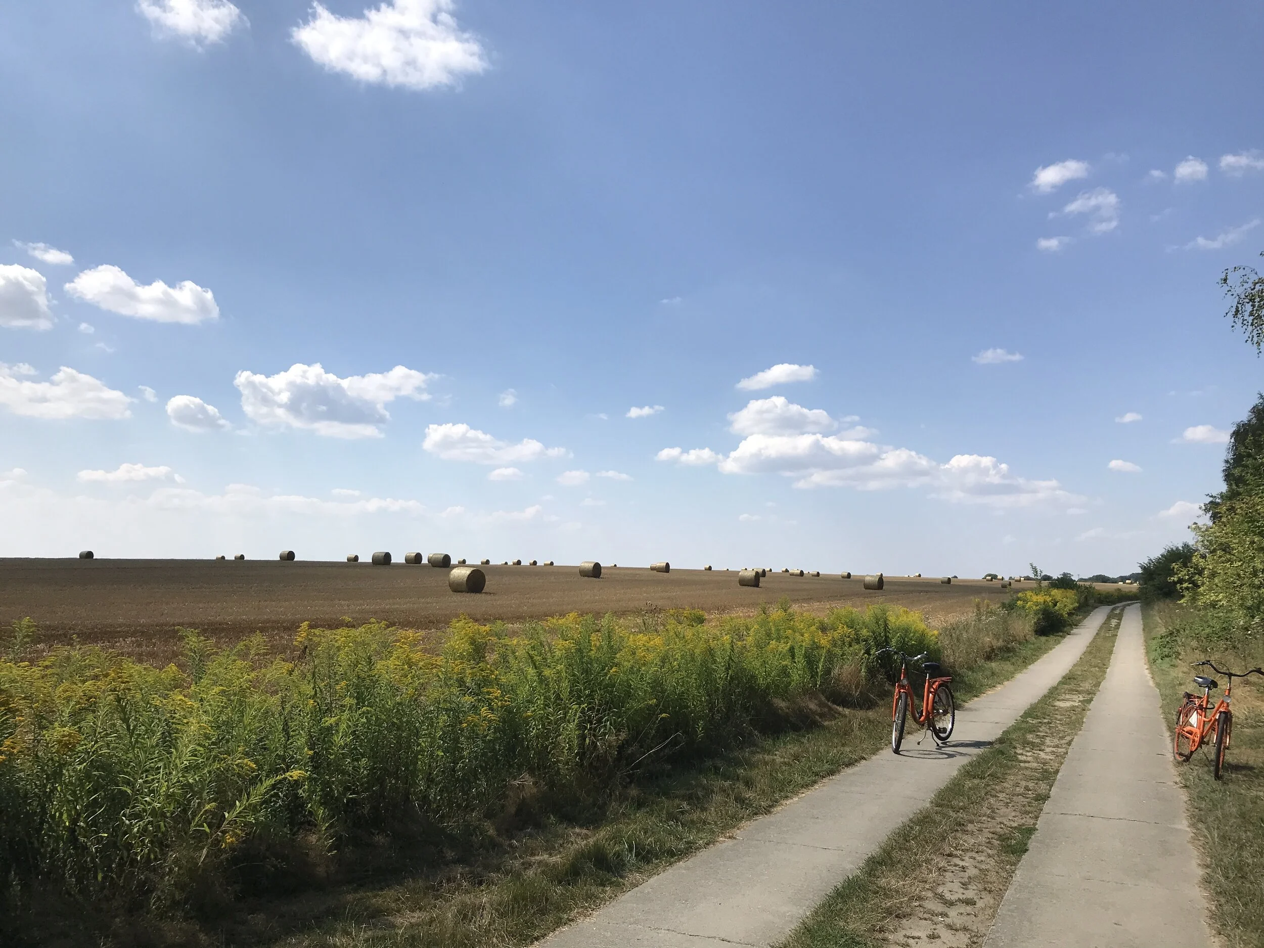 Two red Bikes on a summer day