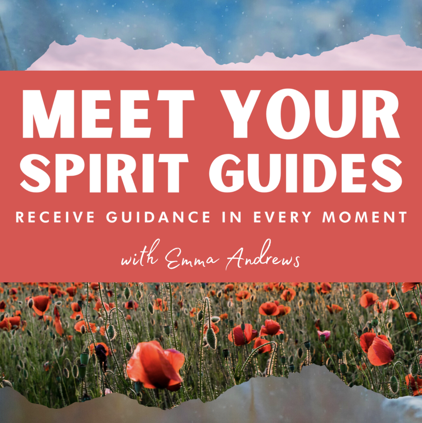 Screenshot 2026-03-03 at 12.05.35 PM.png