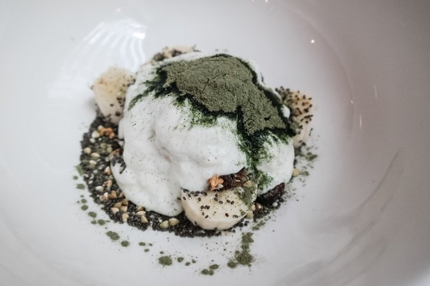 Screen Shot 2021-09-10 at 11.56.06 AM.png