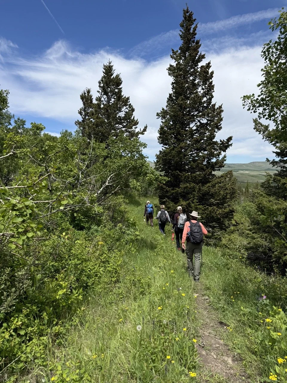 Kyi-Yo Trail 1/2 Day Hike 