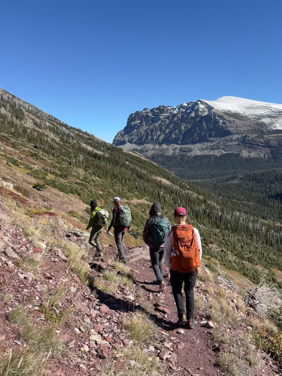 Four hikers hiking on a trail in a mountainous area with snow-capped peaks and a clear blue sky.