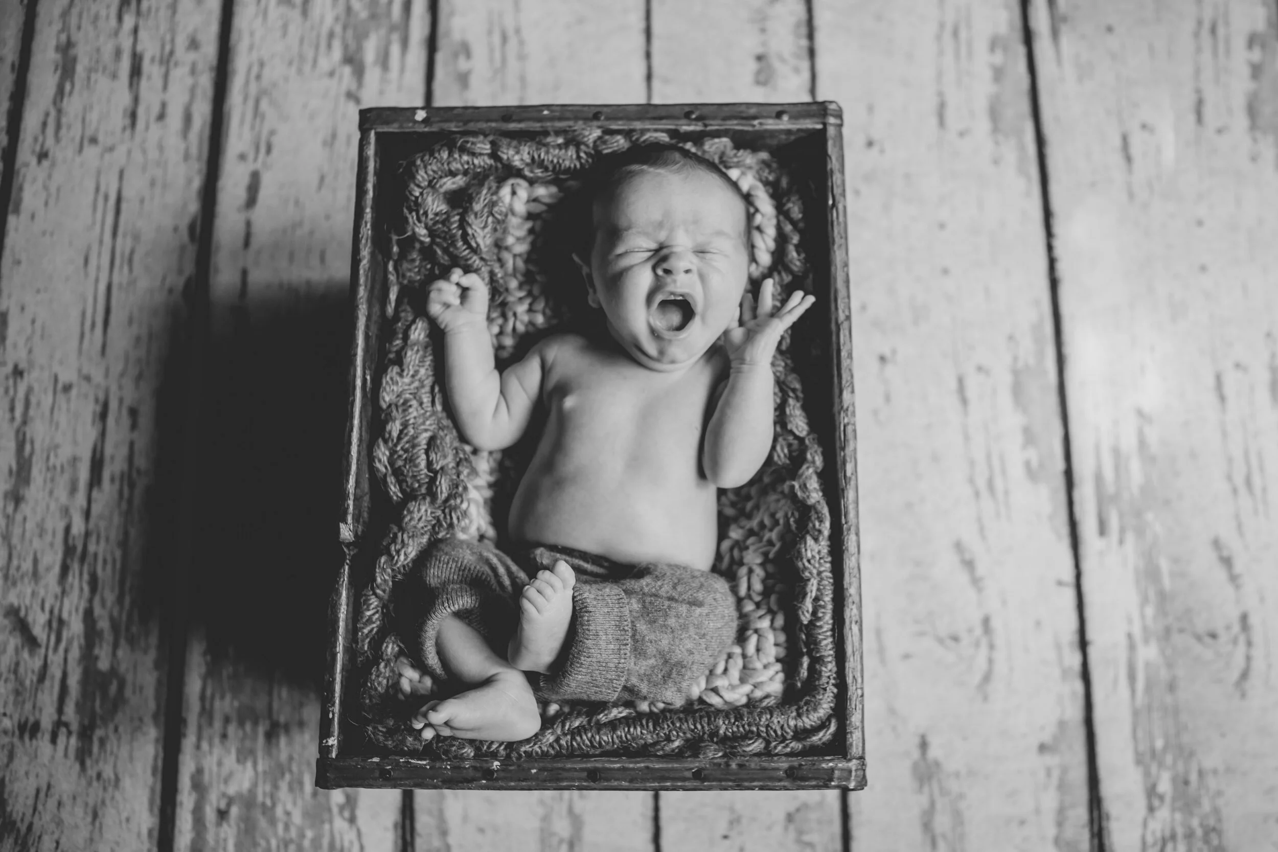 IMG_6781-2 RS 31921.jpg