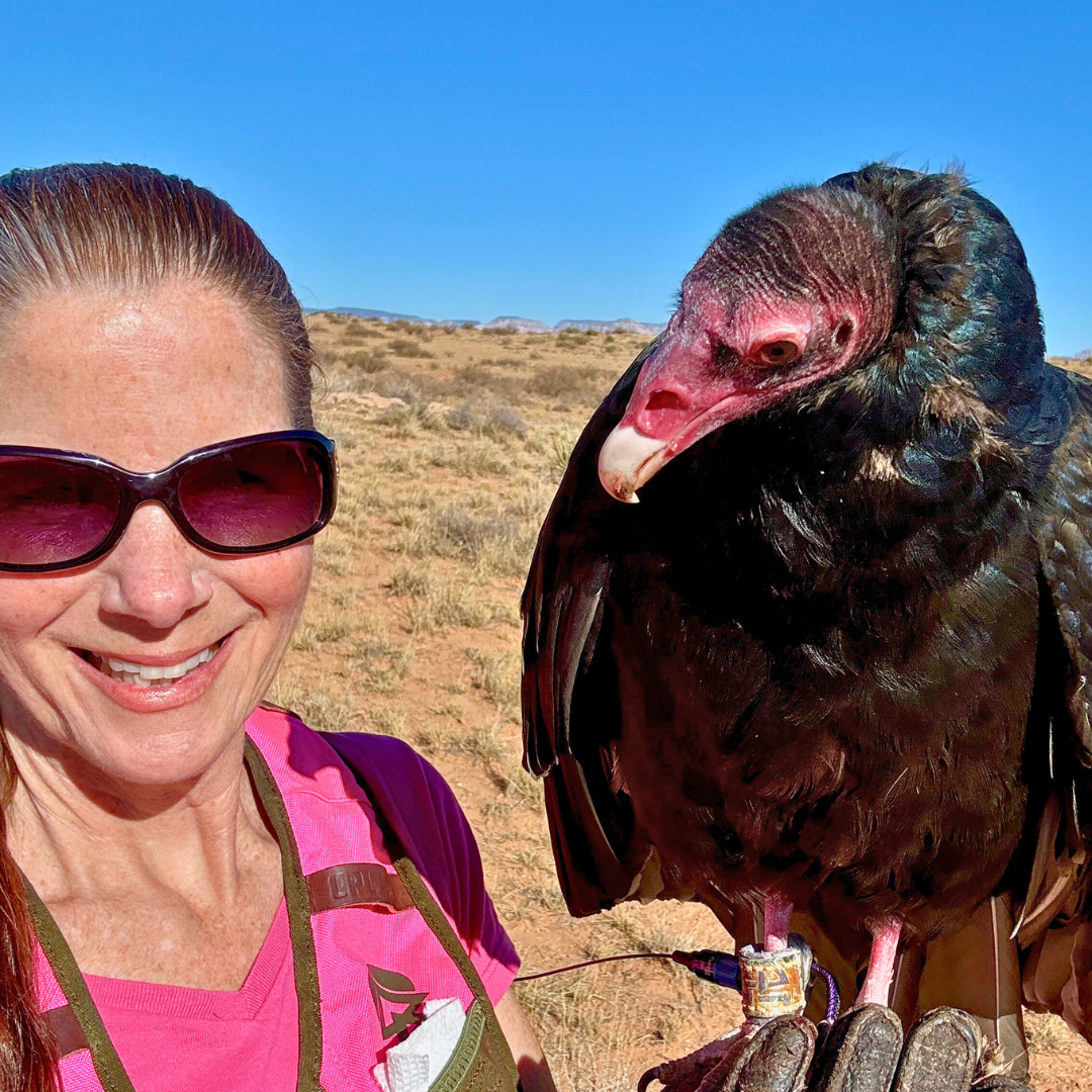 International Vulture Awareness Day