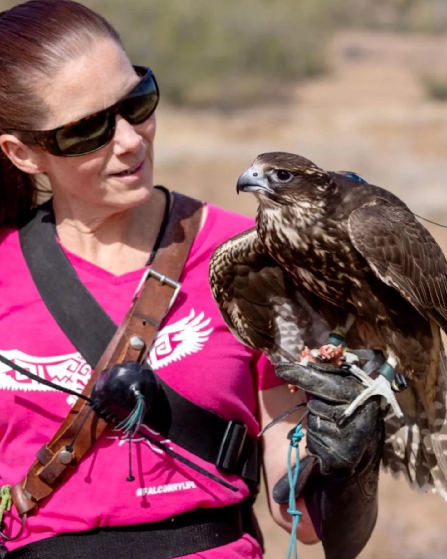 World Falconry Day