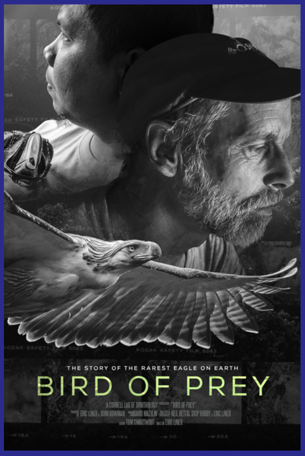 Bird of Prey Documentary Screening