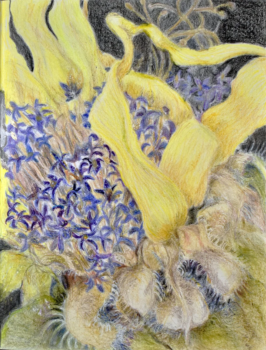  Wedding Boutonniere (drying), 2020