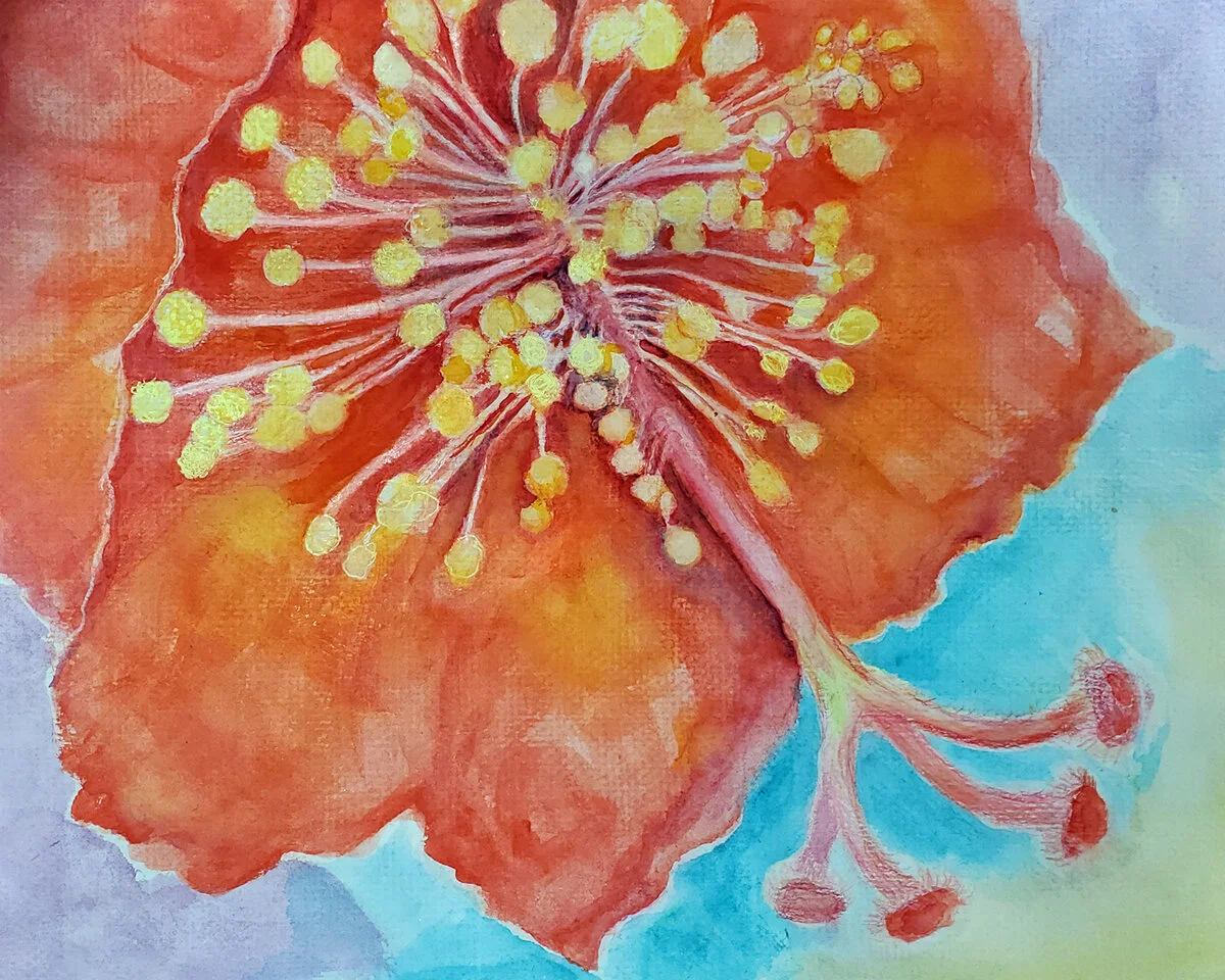  Red Hibiscus with Pollen, 2020