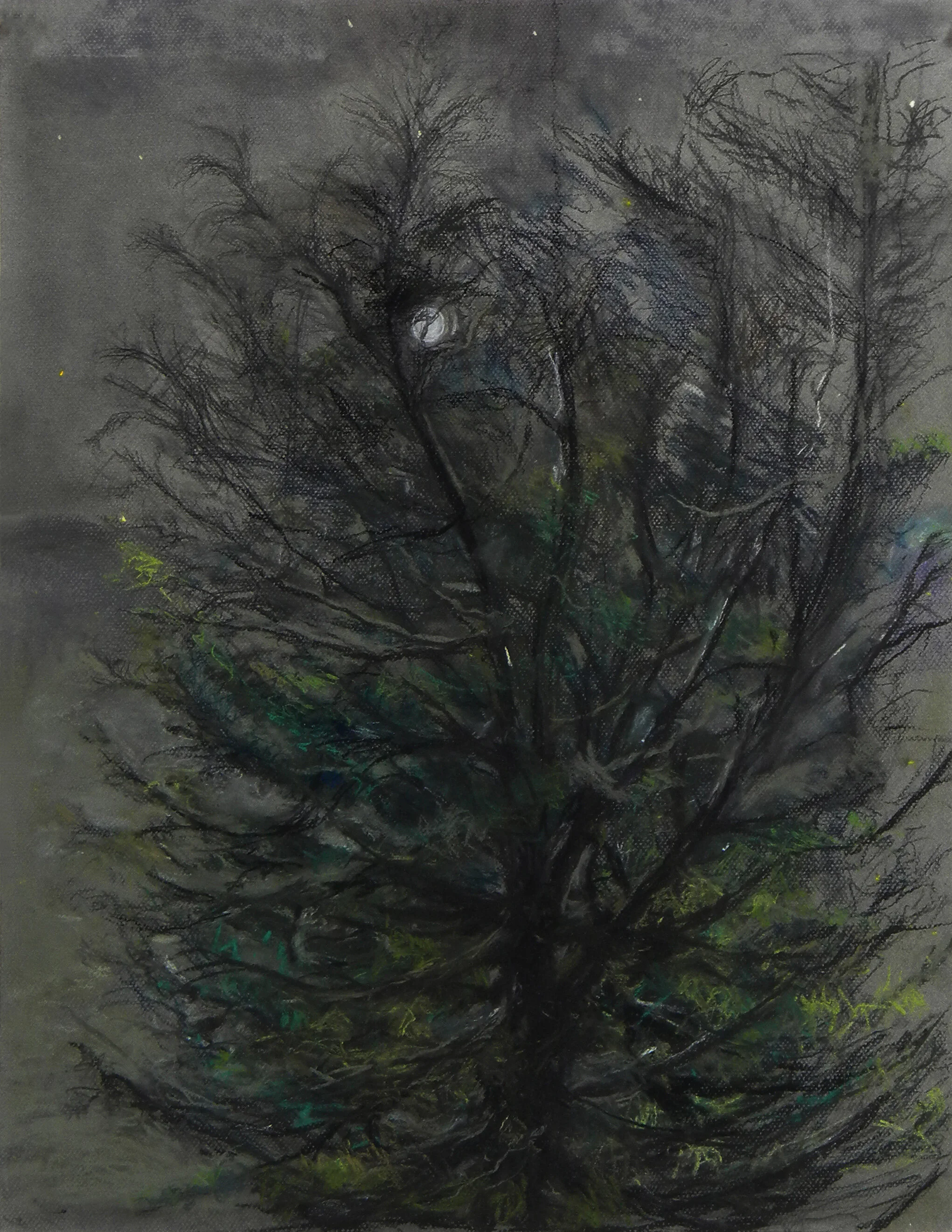 Full Moon