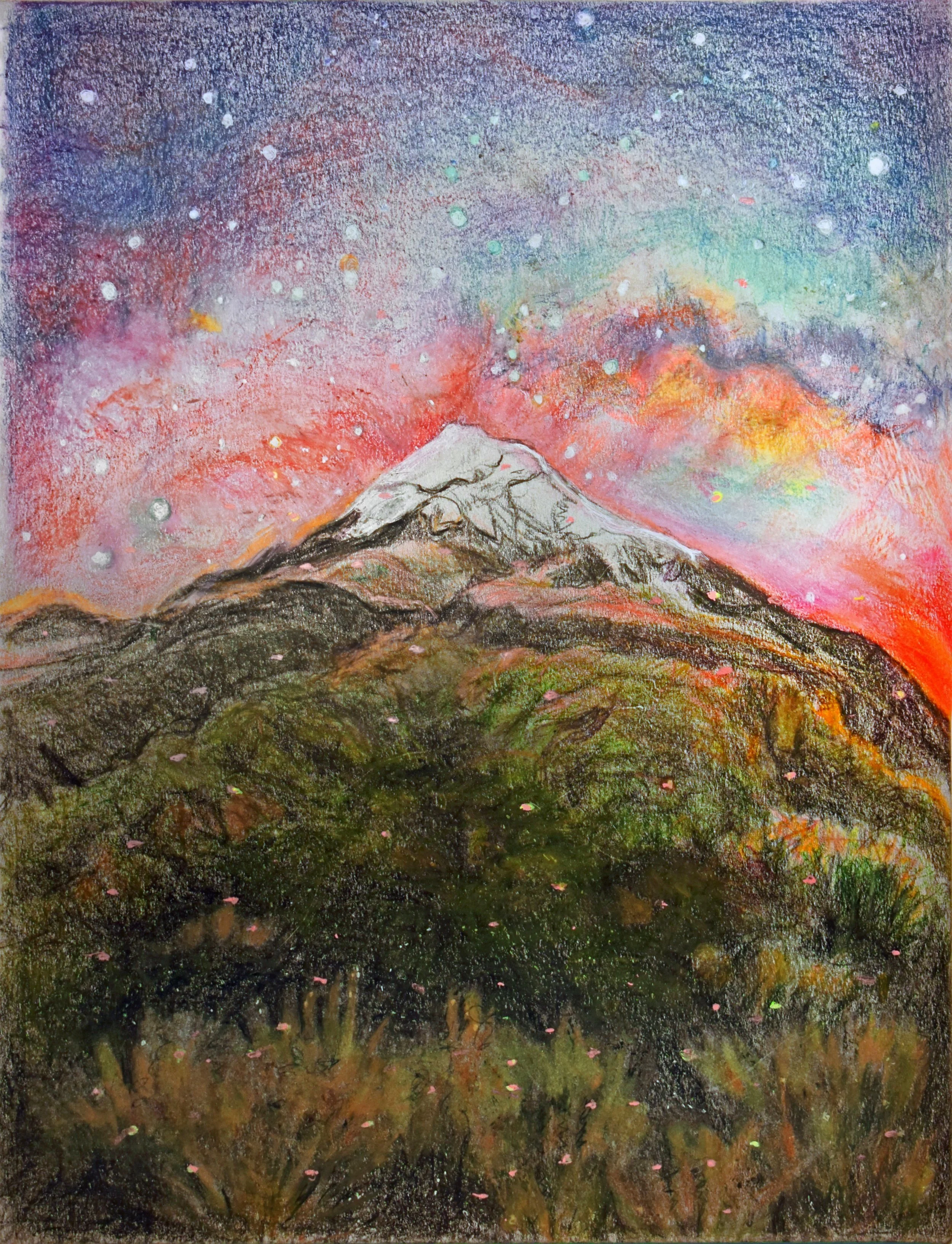 Twilight in the Mountain Garden, 2022