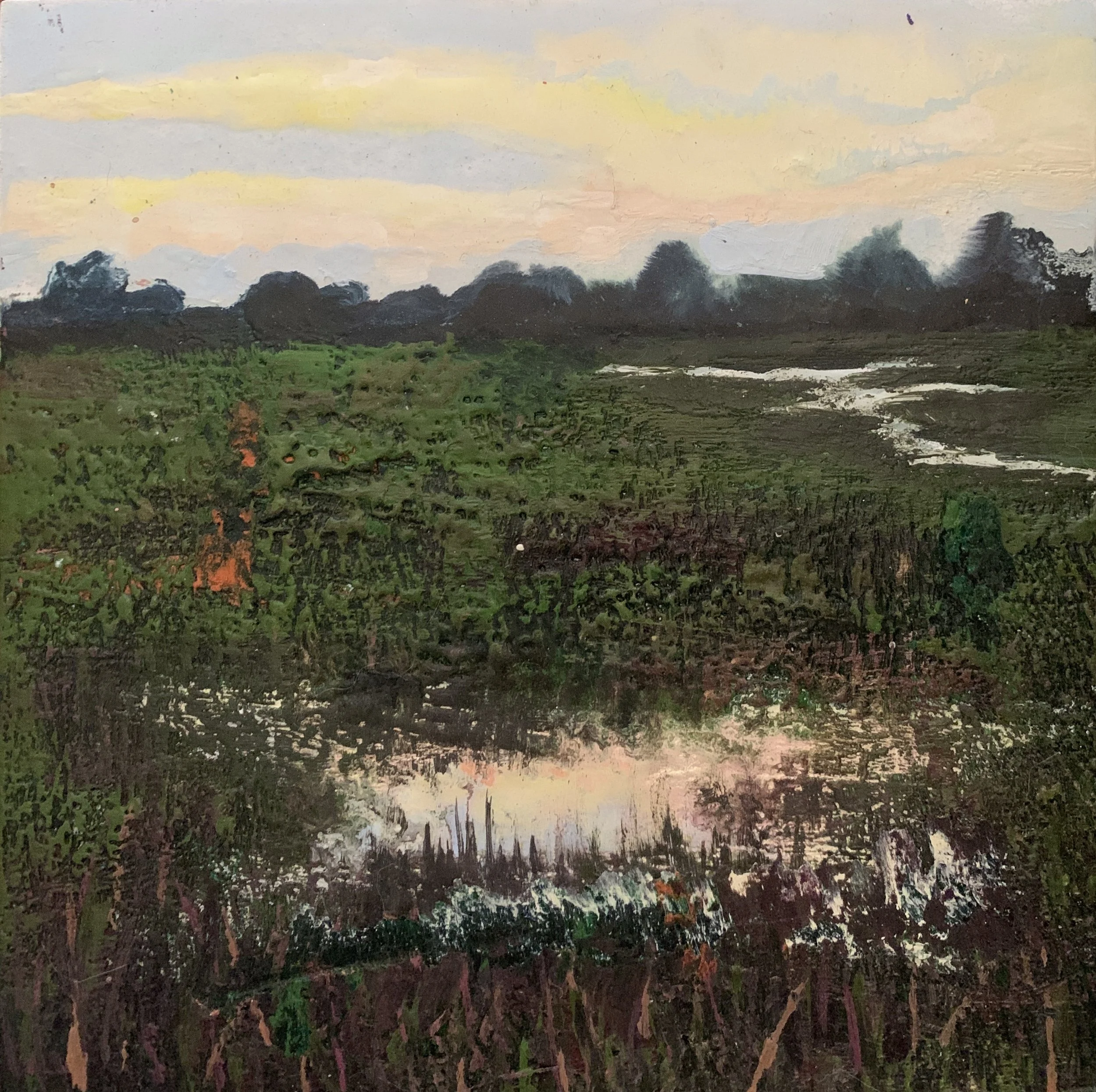 IMG_2435 - Hazel Griffiths.jpeg