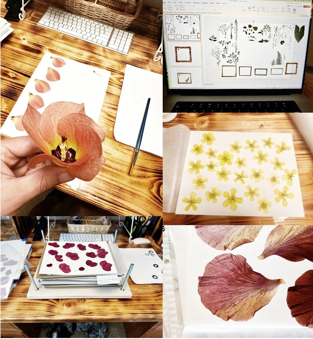 About the Art Collage-VSCO.jpeg