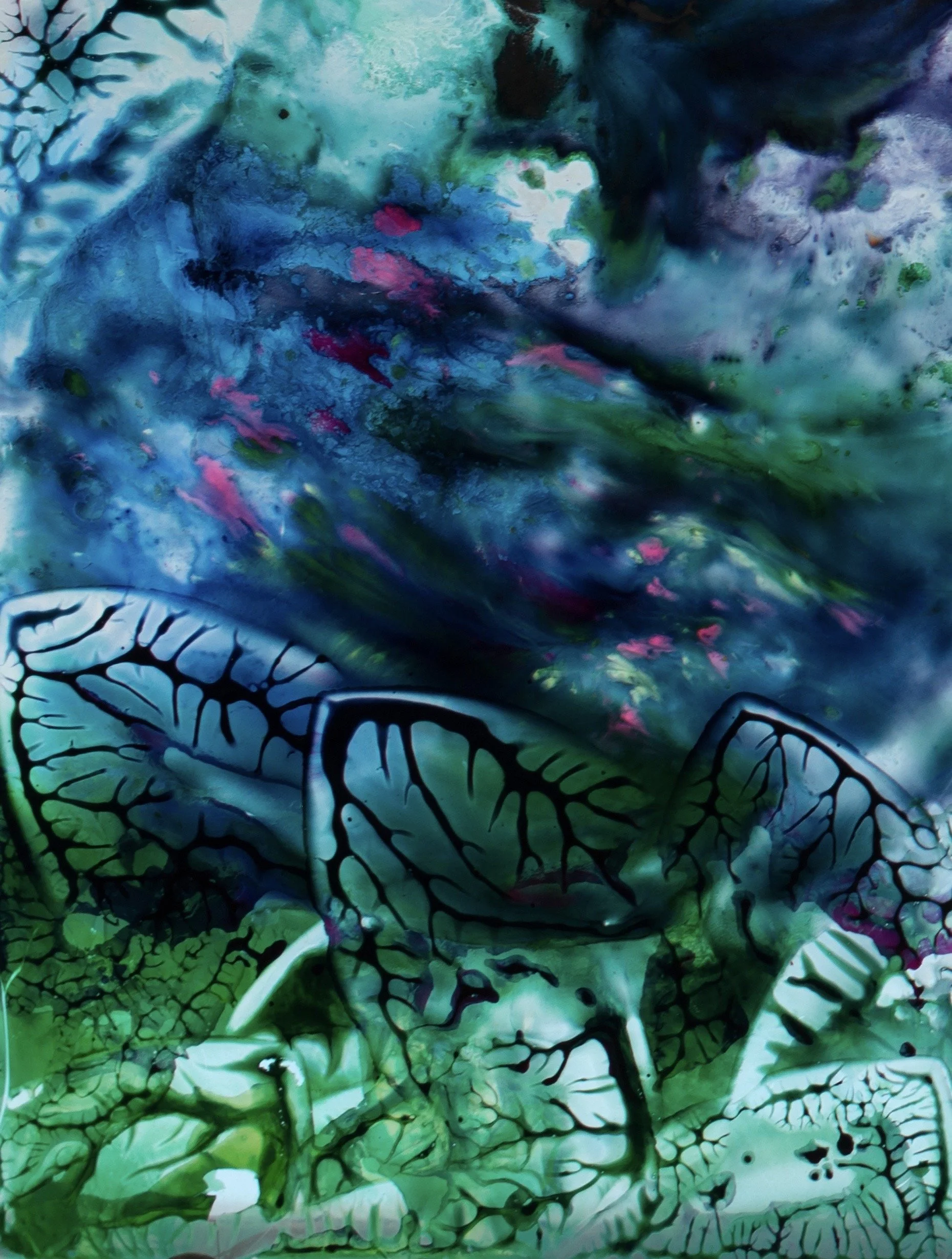 Glass Panel 1 17x28 MAR_9688 - Hazel Griffiths.jpeg