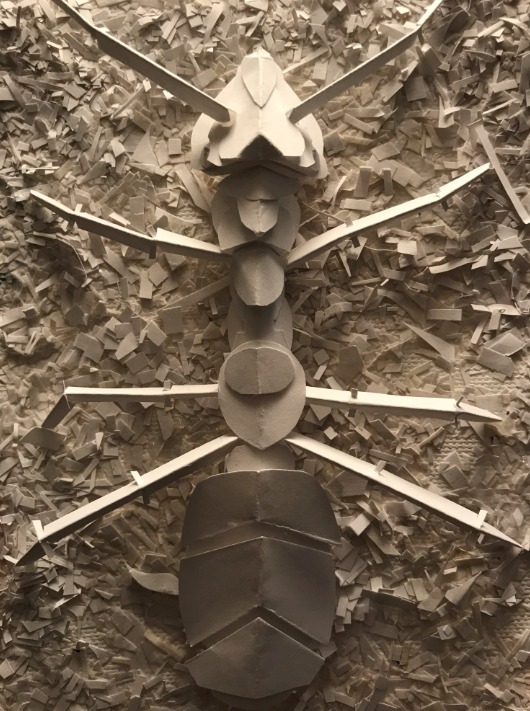 2025-12-29 16_07_33-IMG_6553.heic - Windows Photo Viewer.png