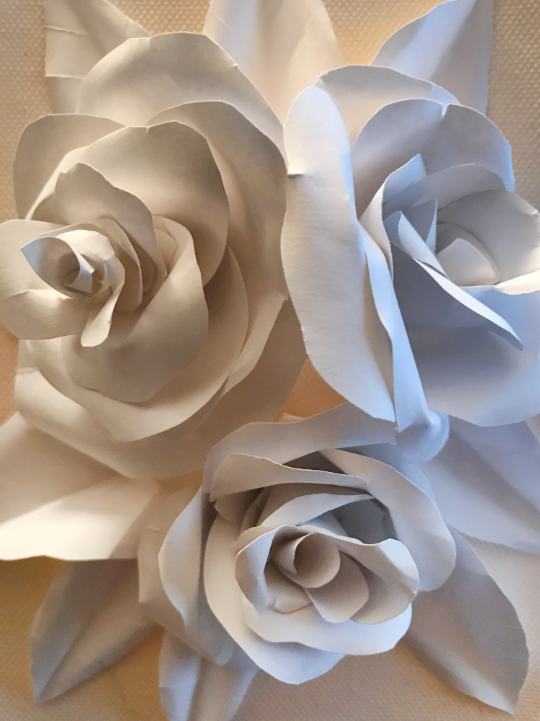 2025-12-29 16_07_07-IMG_6521.heic - Windows Photo Viewer.png