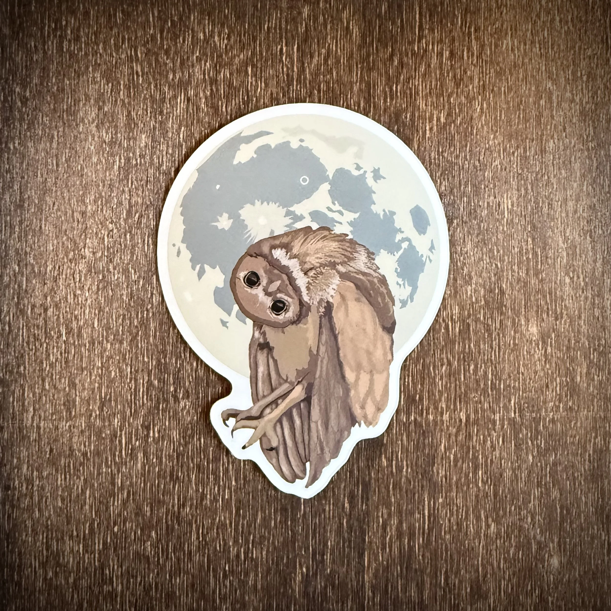 Owl Sticker
