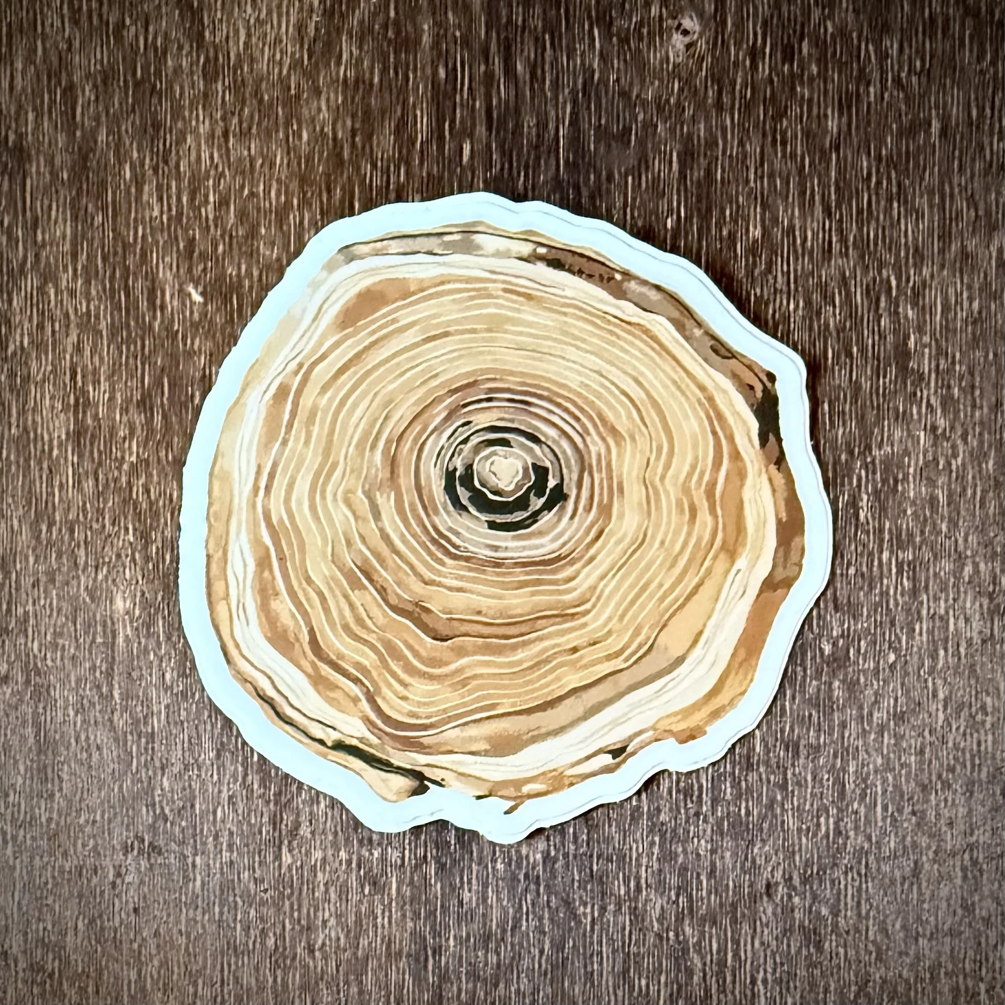 treerings-sticker-mockup.jpg