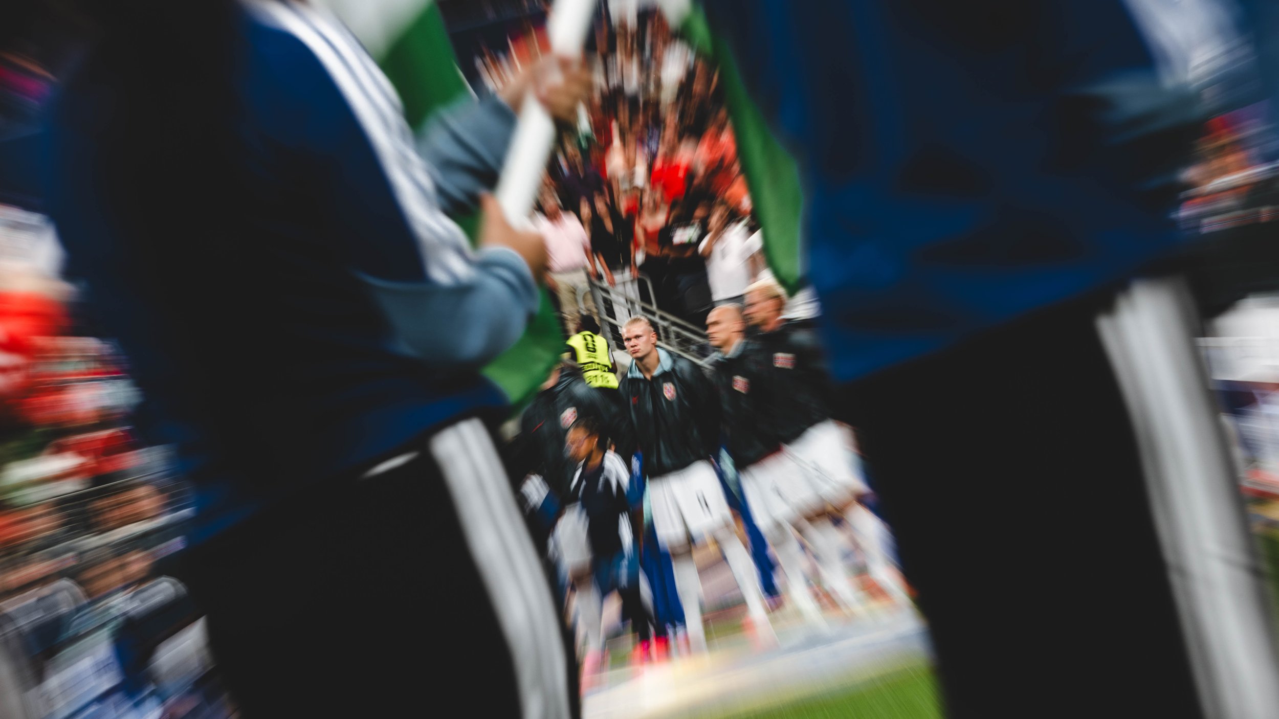 TF1_9774.jpg