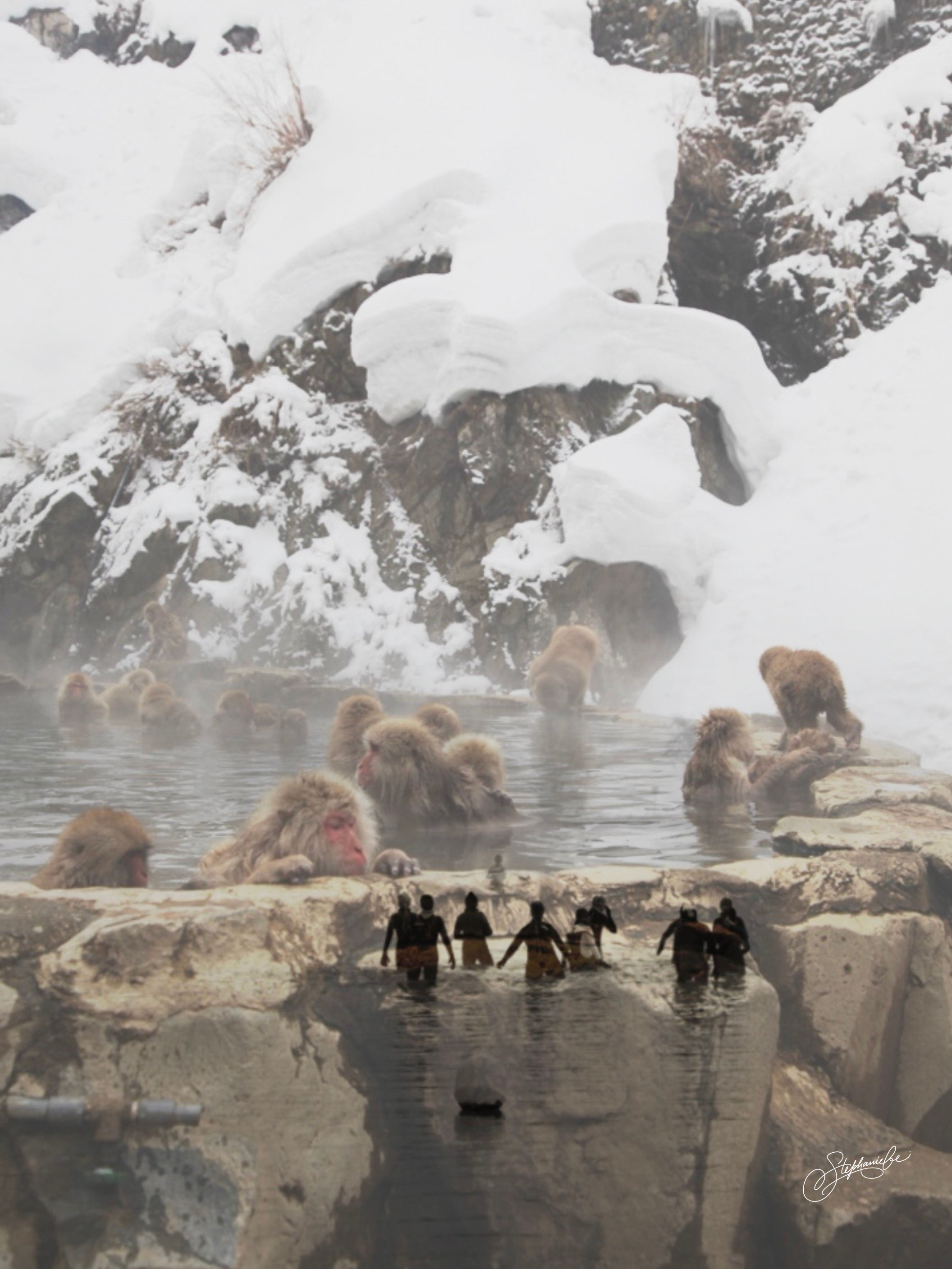 #86 HUMANITY (Yamanouchi x Annecy)