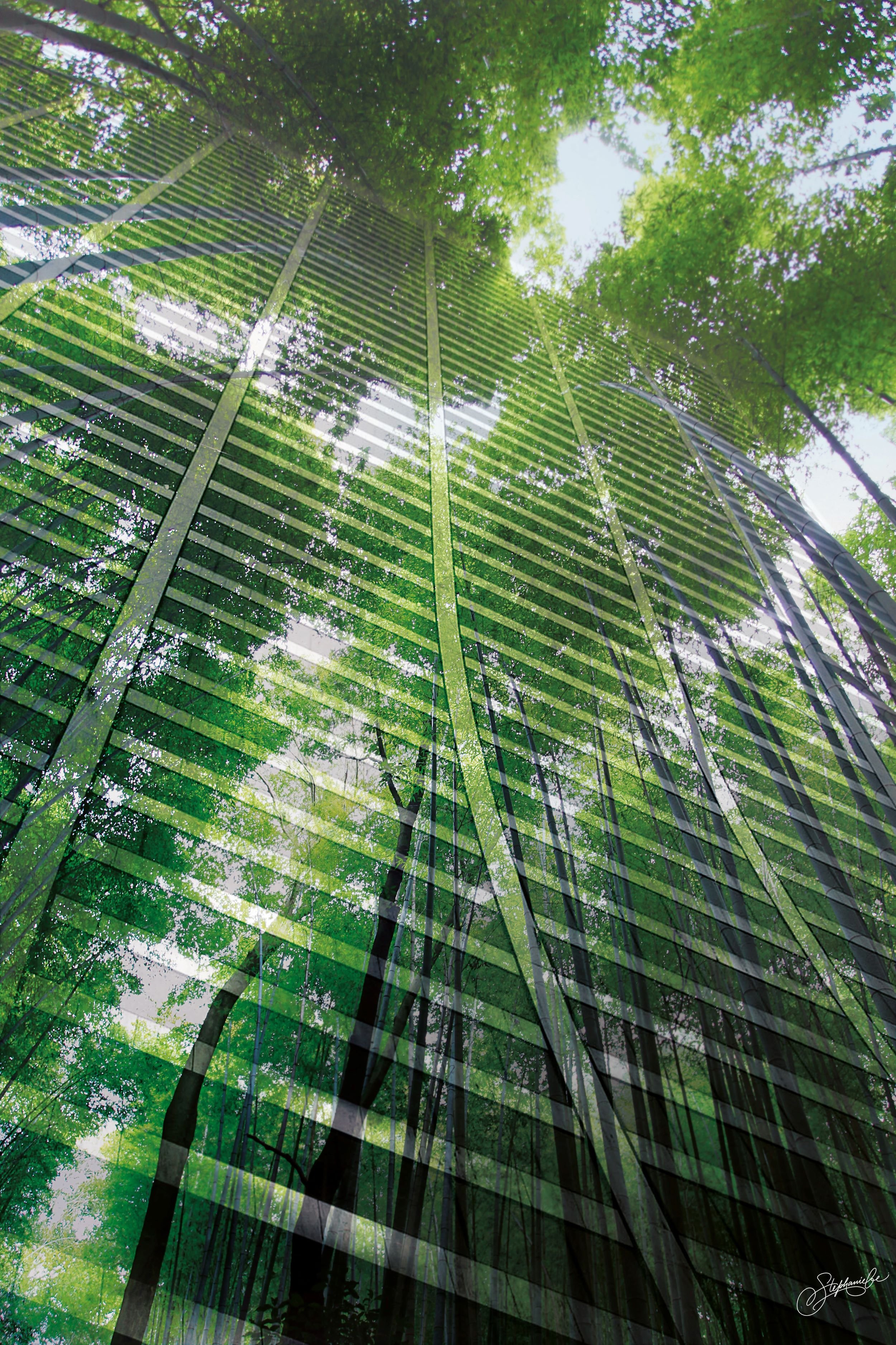 #10 THE GREEN HOUSE