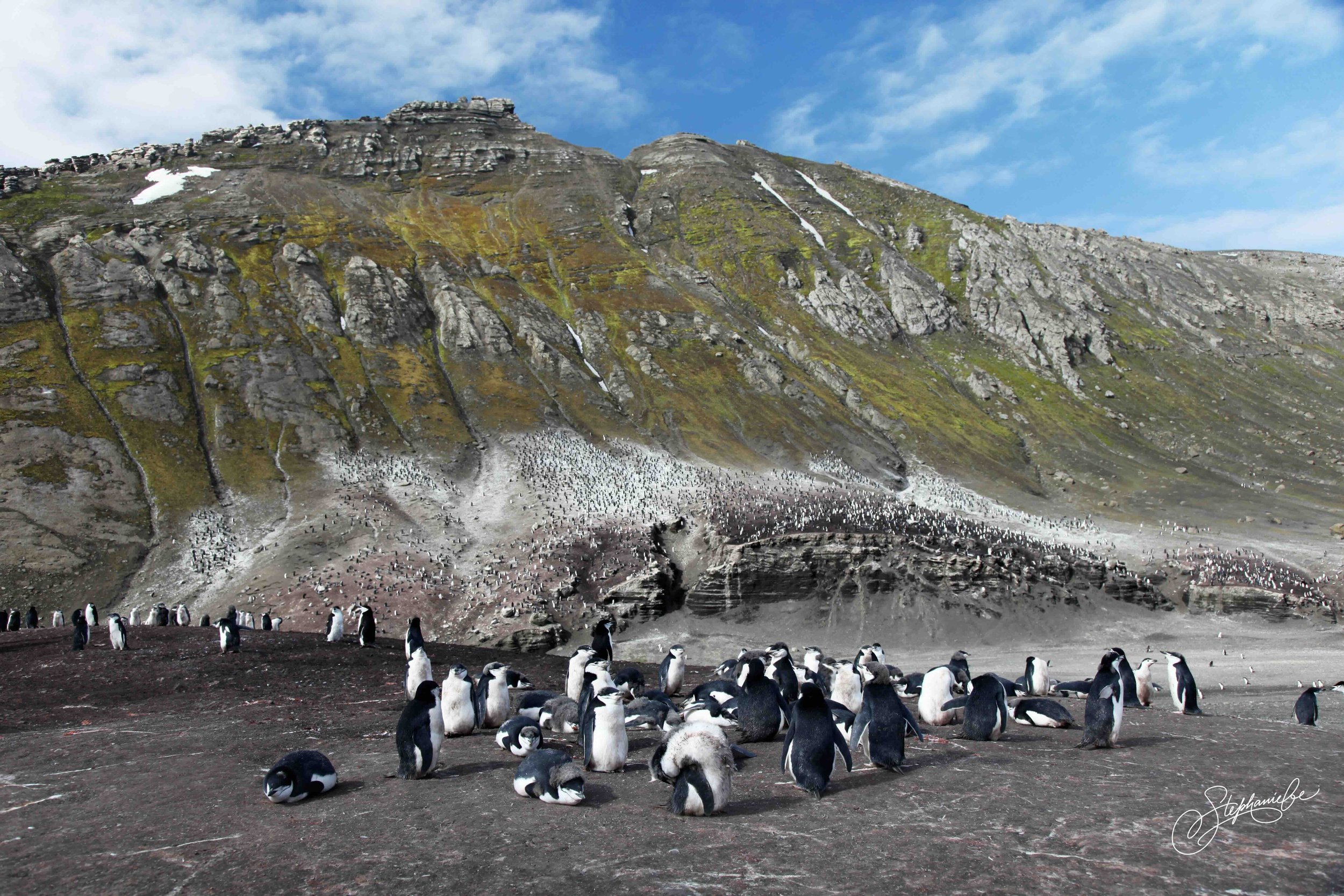 DECEPTION ISLAND