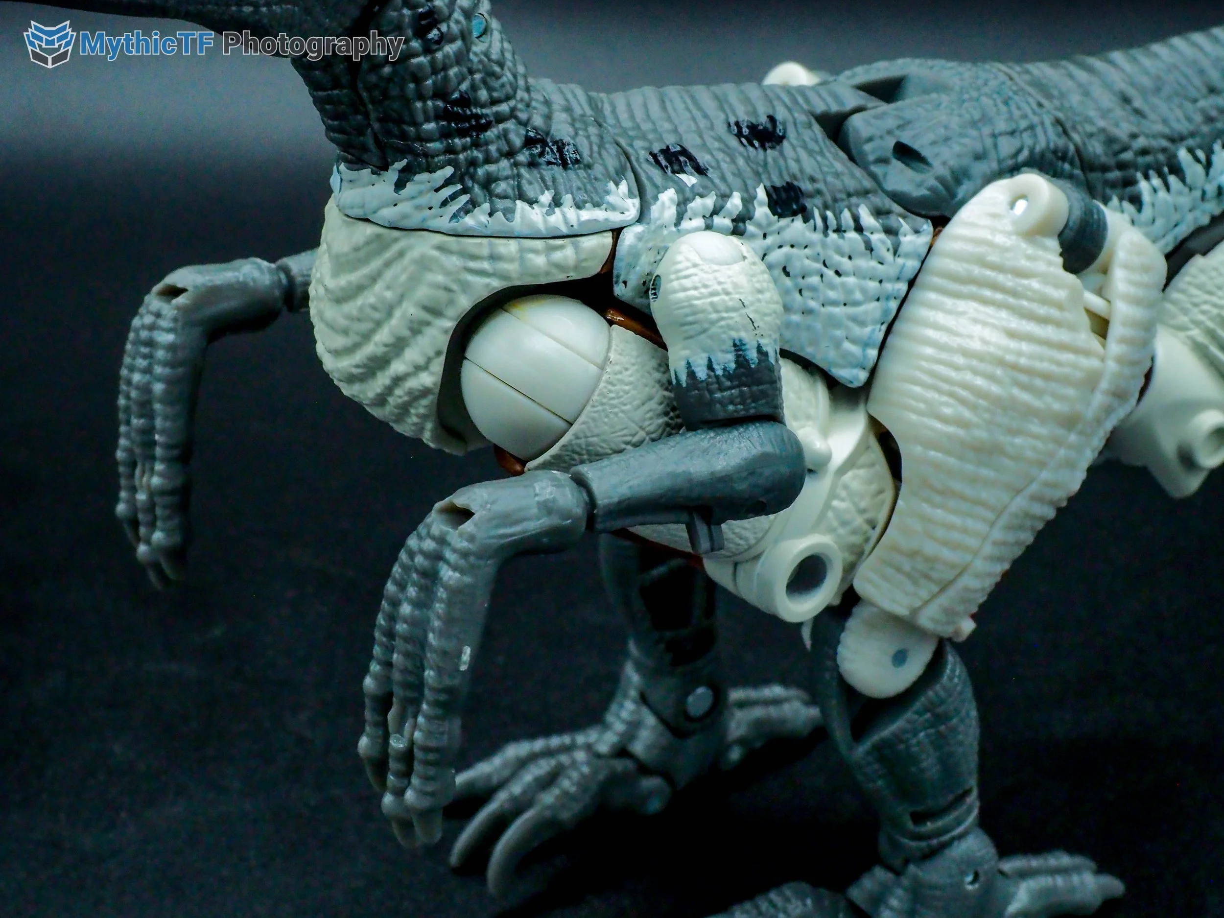 kingdom-grimlock-38.jpg