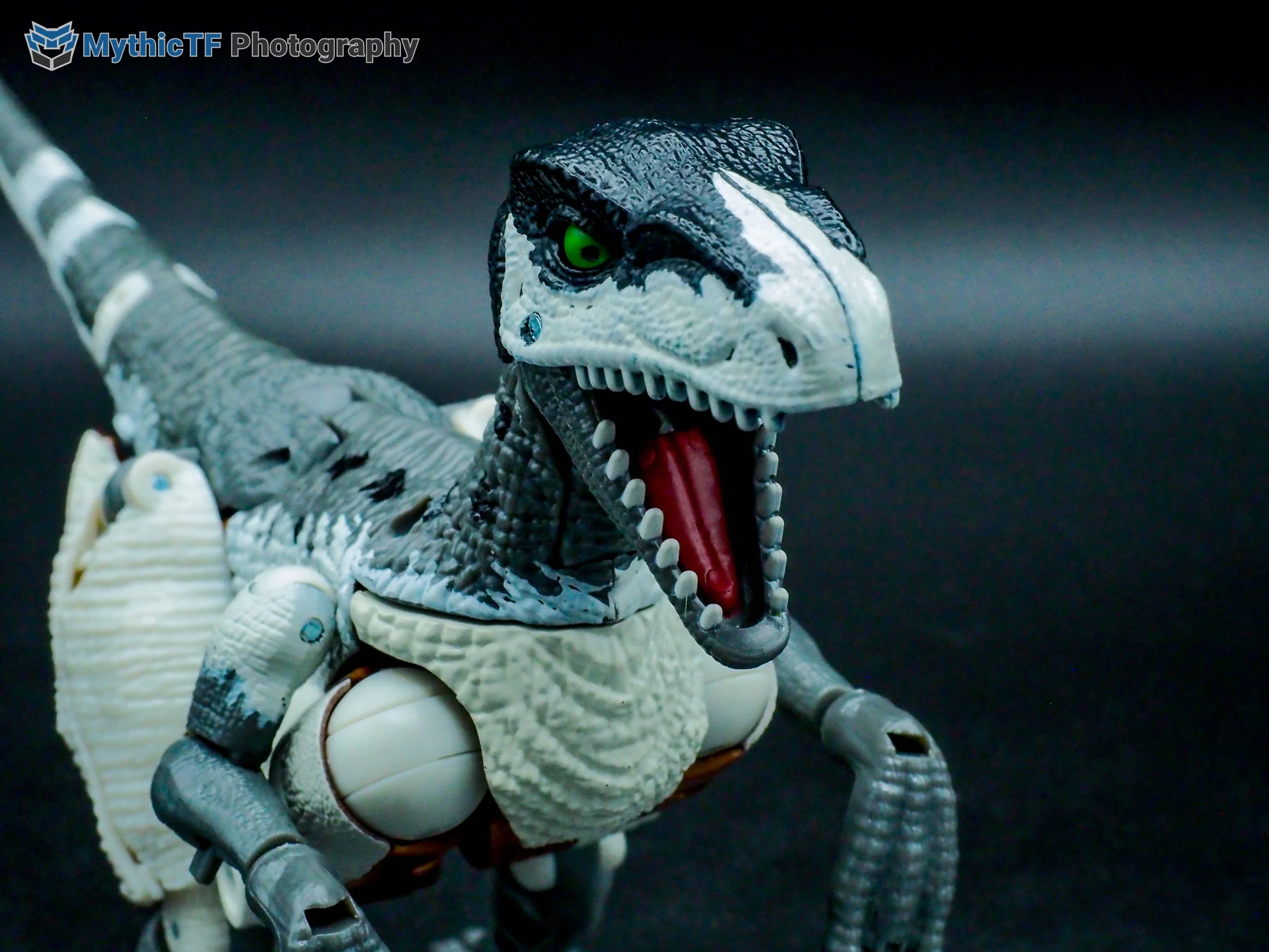 kingdom-grimlock-44.jpg