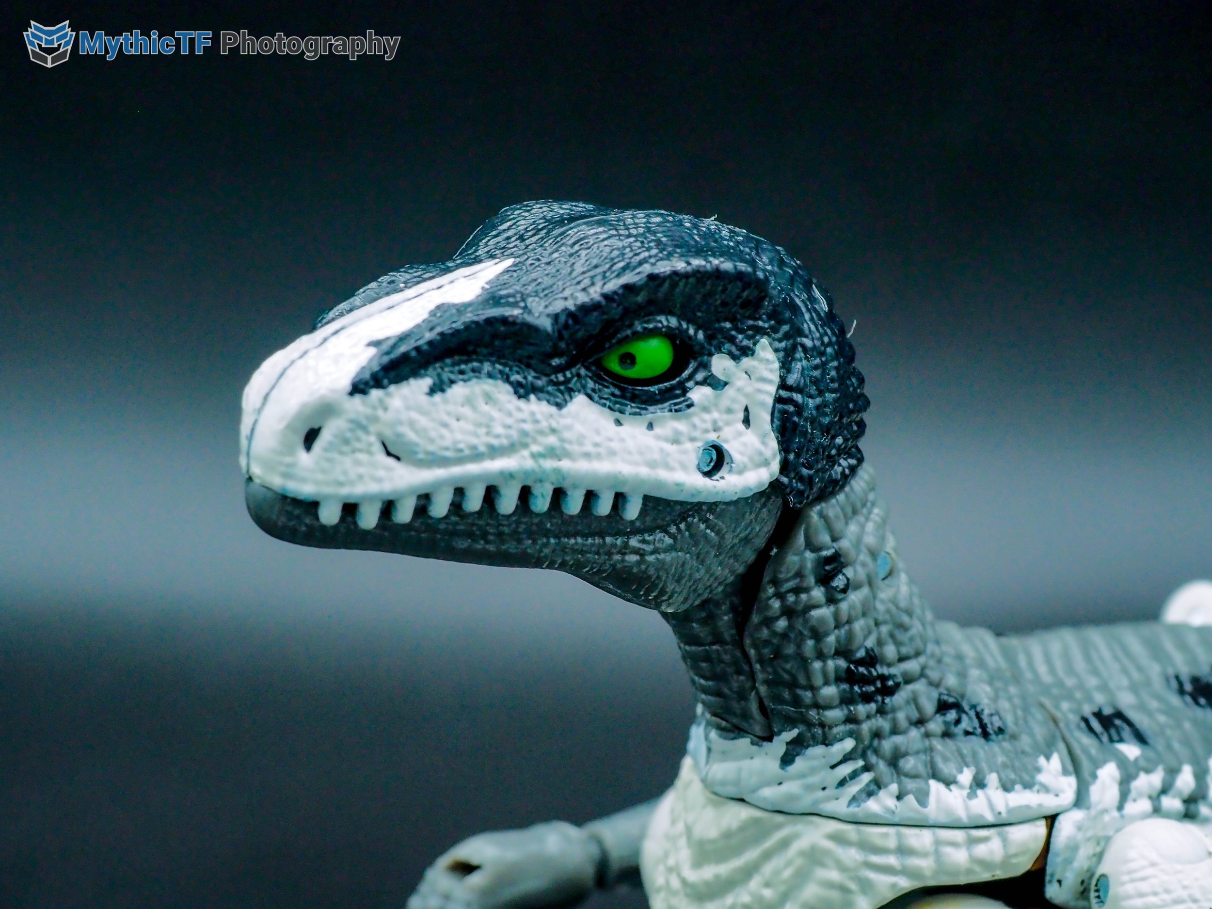 kingdom-grimlock-37.jpg