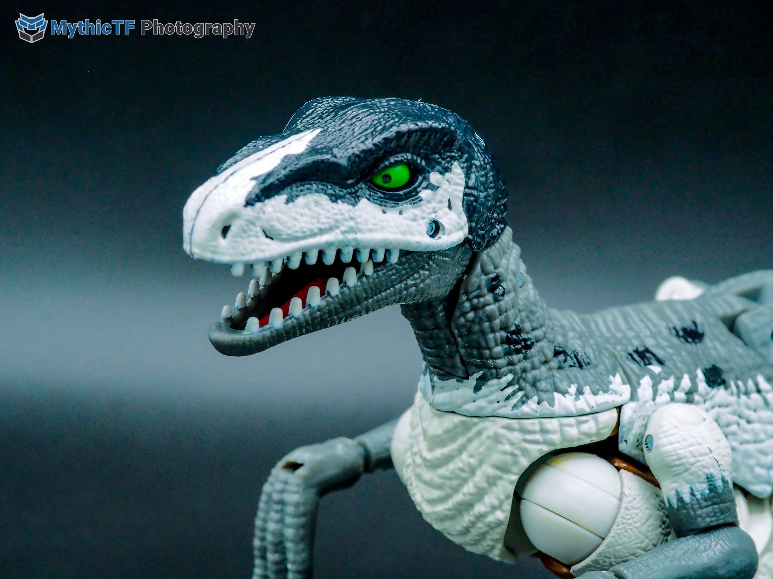 kingdom-grimlock-36.jpg