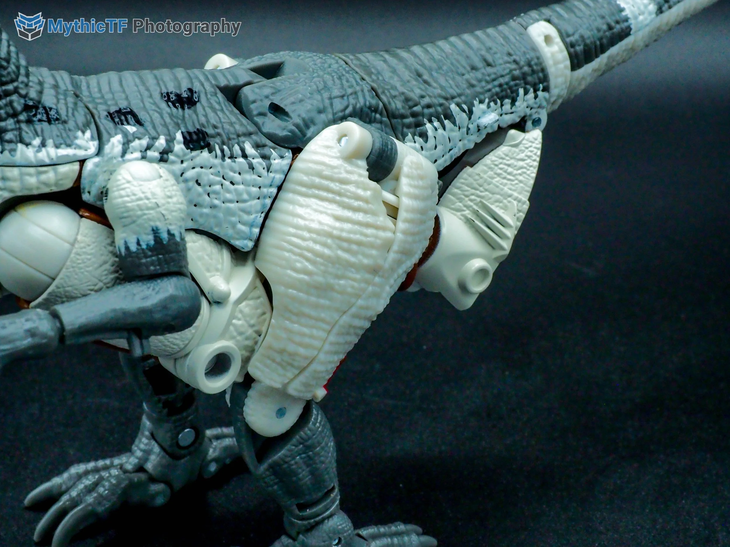 kingdom-grimlock-39.jpg