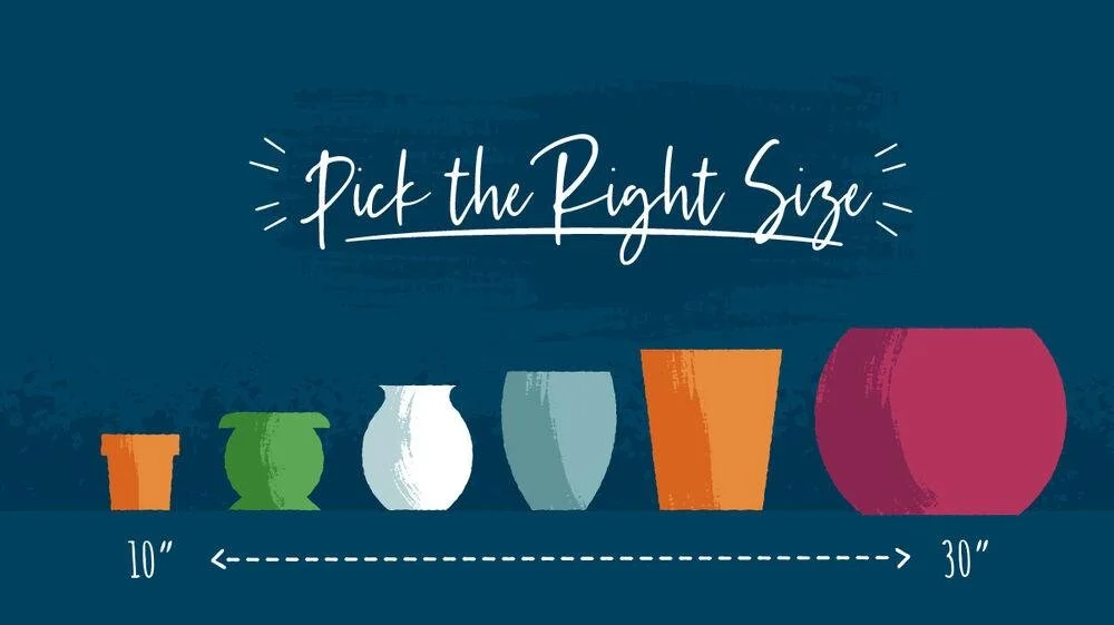 What You Can do for a Garden (Plants and Their Pots)